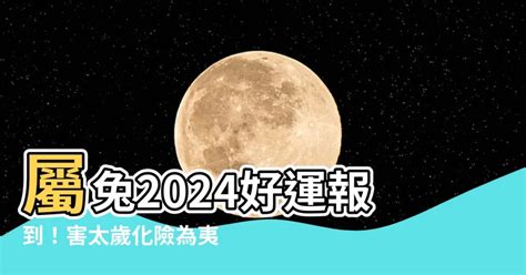 屬兔2024年運程